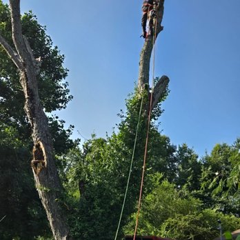 JR Trees Service - Tree Services Near Me - Lyles, Tennessee JR Trees Service - Tree Services Near Me - Lyles, Tennessee