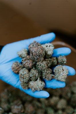 Nevada Made Marijuana by null