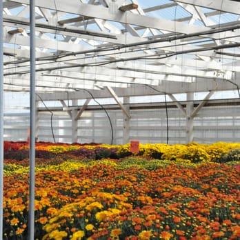Mini Earth Greenhouses - Nurseries & Gardening Near Me - Grayslake, Illinois Mini Earth Greenhouses - Nurseries & Gardening Near Me - Grayslake, Illinois