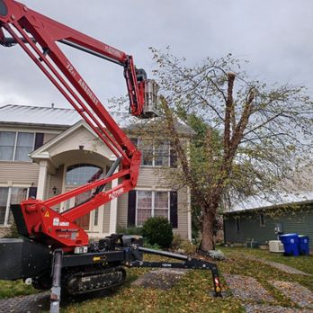 Tree Plucker - Tree Services Near Me - West Seneca, New York