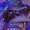 Chicago's Number One Gyro gift card