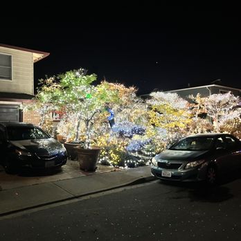 Crippsmas Place - This house had the most lights which I prefer over a couple of painted wood pieces - Community Service/Non-Profit Near Me - Fremont, California