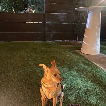 Monkish Brewing - Outdoor seating turf area - Breweries Near Me - Anaheim, California Monkish Brewing - Outdoor seating turf area - Breweries Near Me - Anaheim, California