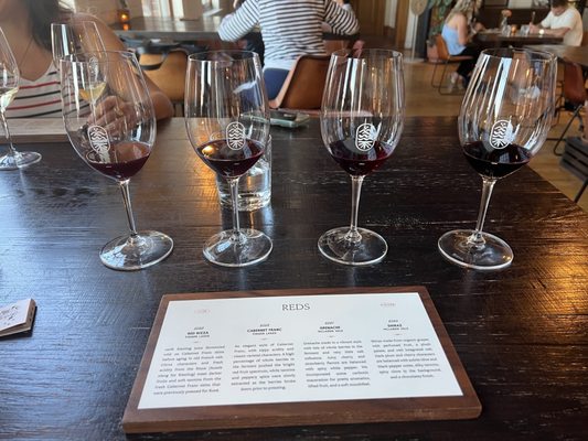 Living Roots Rochester by null