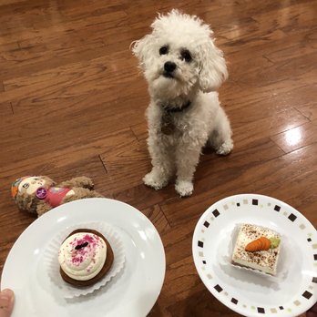 Three Dog Bakery - Rice Village - Pet Stores Near Me - Houston, Texas Three Dog Bakery - Rice Village - Pet Stores Near Me - Houston, Texas