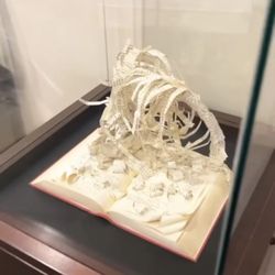 Dekalb County Public Library - Book sculpture