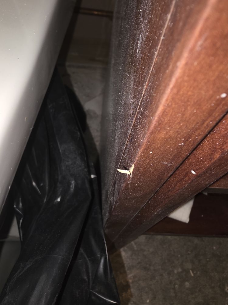 Slide of Roto-Rooter Plumbing & Water Cleanup