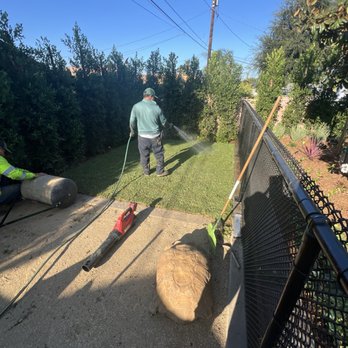 J Rodriguez Tree Care Maintenance - Sod in our dog run - Tree Services Near Me J Rodriguez Tree Care Maintenance - Sod in our dog run - Tree Services Near Me