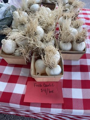 Garfield Park Farmers Market by null