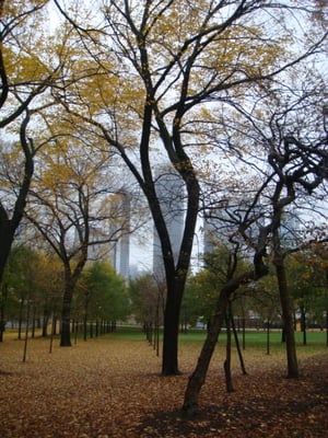 Grant Park by null