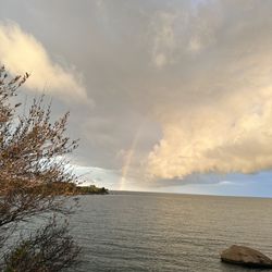 The Knob - Rainbow!