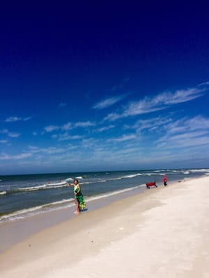 T.H. Stone Memorial St. Joseph Peninsula State Park by null