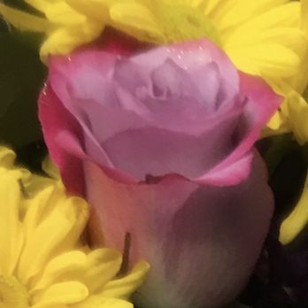 Cooper's Florist - The roses were exquisite!!! - Florists Near Me - Hurst, Texas Cooper's Florist - The roses were exquisite!!! - Florists Near Me - Hurst, Texas