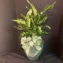 Forney Florist