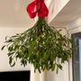 Photo of KissMeMistletoe
