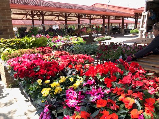 West Allis Farmers Market by null