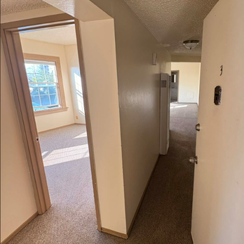 Fast Cleaning - Carpets deep cleaned, removed pet stains. - Home Cleaning Near Me - Concord, California