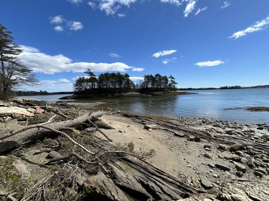 Wolfe's Neck Woods State Park by null