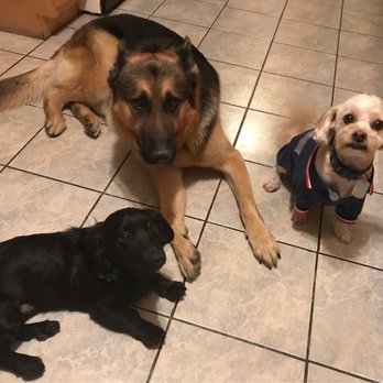 Petco - Pet Stores Near Me - Downey, California