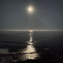 Palos Verdes - View of the moon from the edge of the secret beach cliffs. Goodnight PV