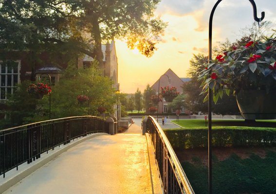 Worcester Polytechnic Institute by null