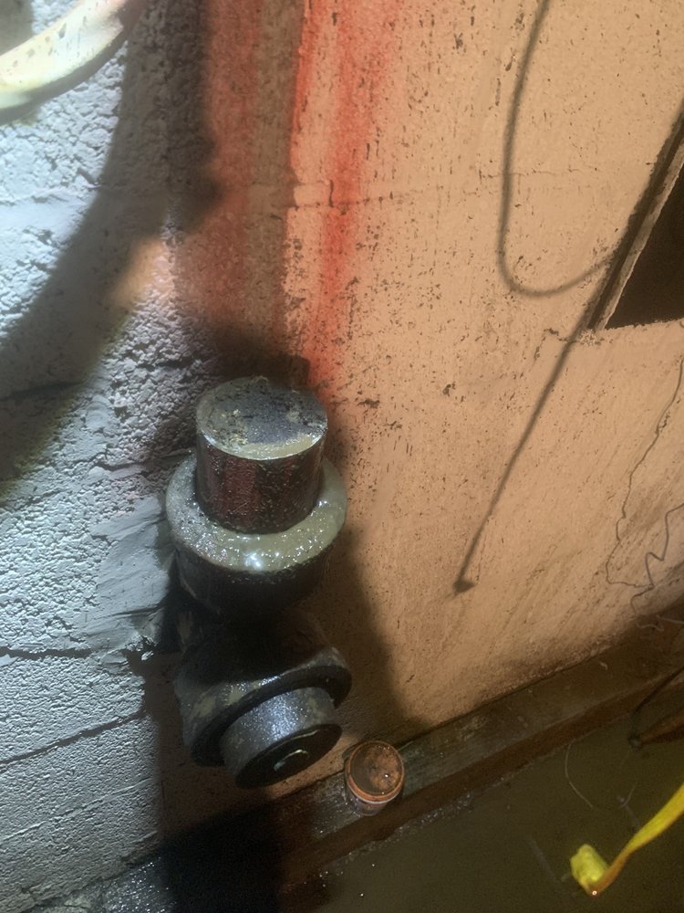 Slide of Drain Genie