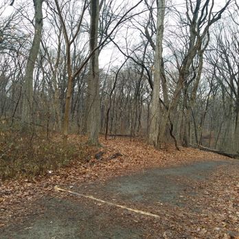 Forest Park - Good day for a walk - Parks Near Me - Woodhaven, New York Forest Park - Good day for a walk - Parks Near Me - Woodhaven, New York
