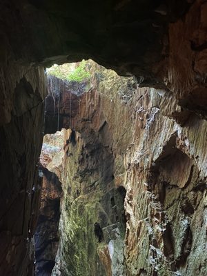 Consolidated Gold Mine by null