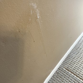 Northern Lights Clean Crew - Bedroom wall - Home Cleaning Near Me - Minneapolis, Minnesota Northern Lights Clean Crew - Bedroom wall - Home Cleaning Near Me - Minneapolis, Minnesota