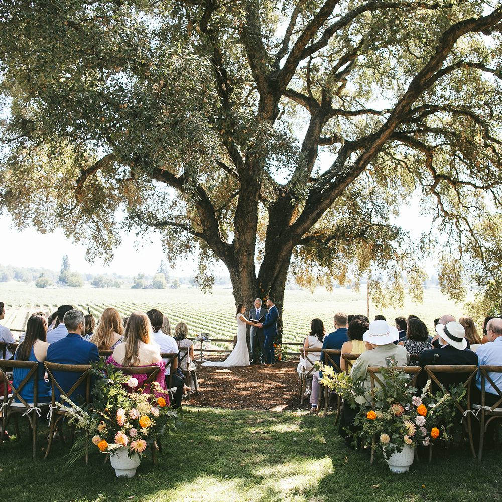Ru's Farm - Ceremony held underneath their grand cork tree - Venues & Event Spaces Near Me - Healdsburg, California Ru's Farm - Ceremony held underneath their grand cork tree - Venues & Event Spaces Near Me - Healdsburg, California