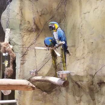 Rainforest Adventures - Zoos Near Me - Sevierville, Tennessee