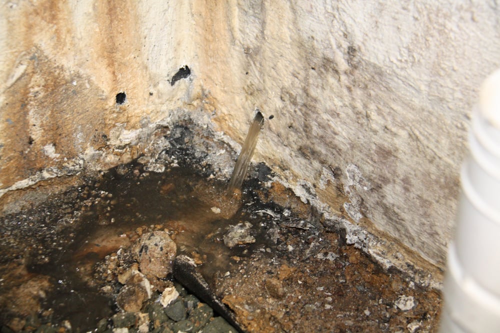 Slide of A Graf & Son