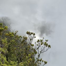 Koke'e State Park