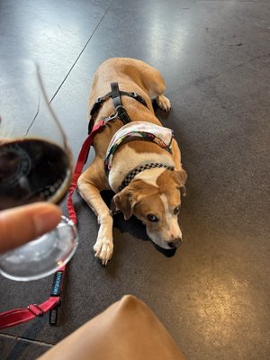 Meanwhile Brewing by null