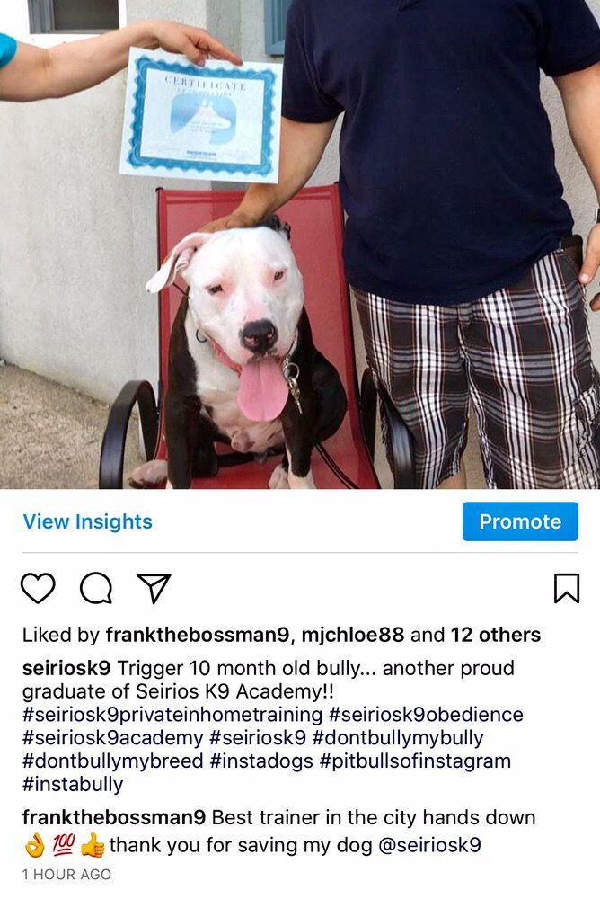 seirios k9 academy