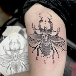 Beetle Beetle