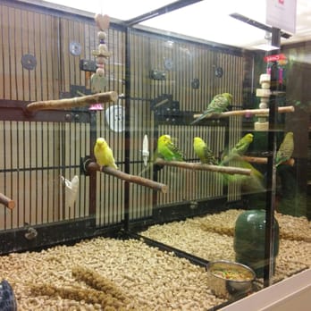 PetSmart - Pet Training Near Me - Cape Coral, Florida PetSmart - Pet Training Near Me - Cape Coral, Florida