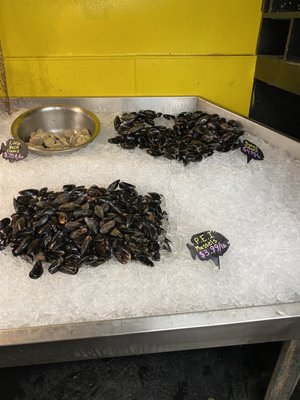 Free Range Fish & Lobster by null