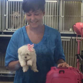 Shear Magic Pet Salon - Zeisja & Diamond - Pet Groomers Near Me - Hilo, Hawaii