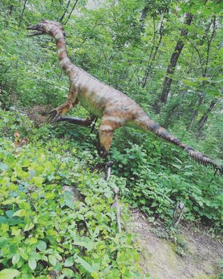 Backyard Terrors and Dinosaur Park by null