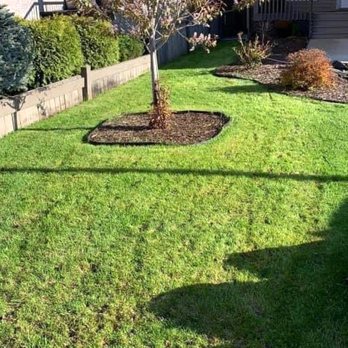 Corlett Lawn Services - Lawn Services Near Me - Cleveland, Ohio