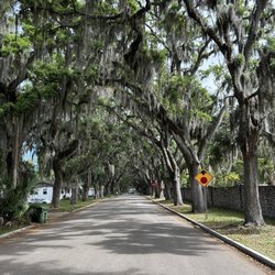 Magnolia Street