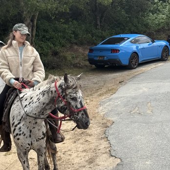 Flying horse adventures - Horseback Riding Near Me Flying horse adventures - Horseback Riding Near Me