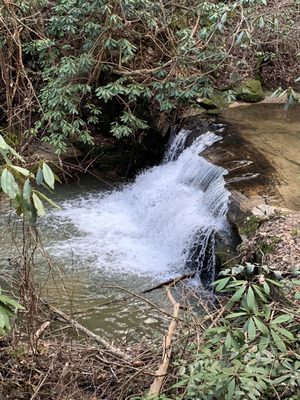 Yellow Branch Falls by null