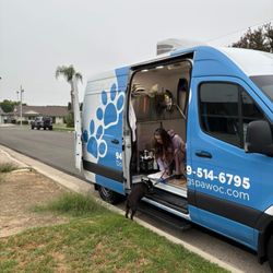 DogSpaw - Door to door service. He's groomed while I get ready for work
