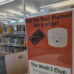 Kent Panther Lake Library
