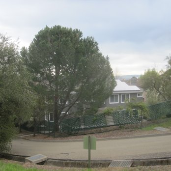 Preserve Trail - view from trail when you come out - go Right on trail from parking lot. - Hiking Near Me - Pleasanton, California