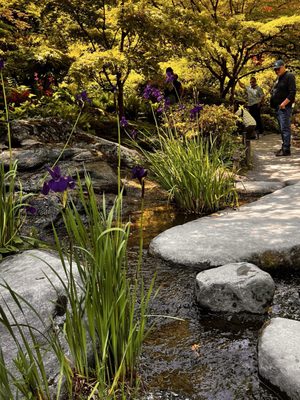 Seattle Japanese Garden by null