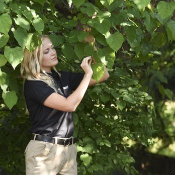 The Davey Tree Expert Company - Tree Services Near Me - Warminster, Pennsylvania The Davey Tree Expert Company - Tree Services Near Me - Warminster, Pennsylvania