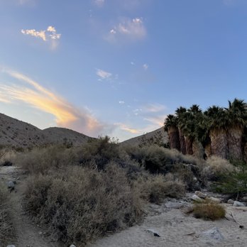 Covered Wagon Tours - Desert oasis - Tours Near Me - Thousand Palms, California Covered Wagon Tours - Desert oasis - Tours Near Me - Thousand Palms, California